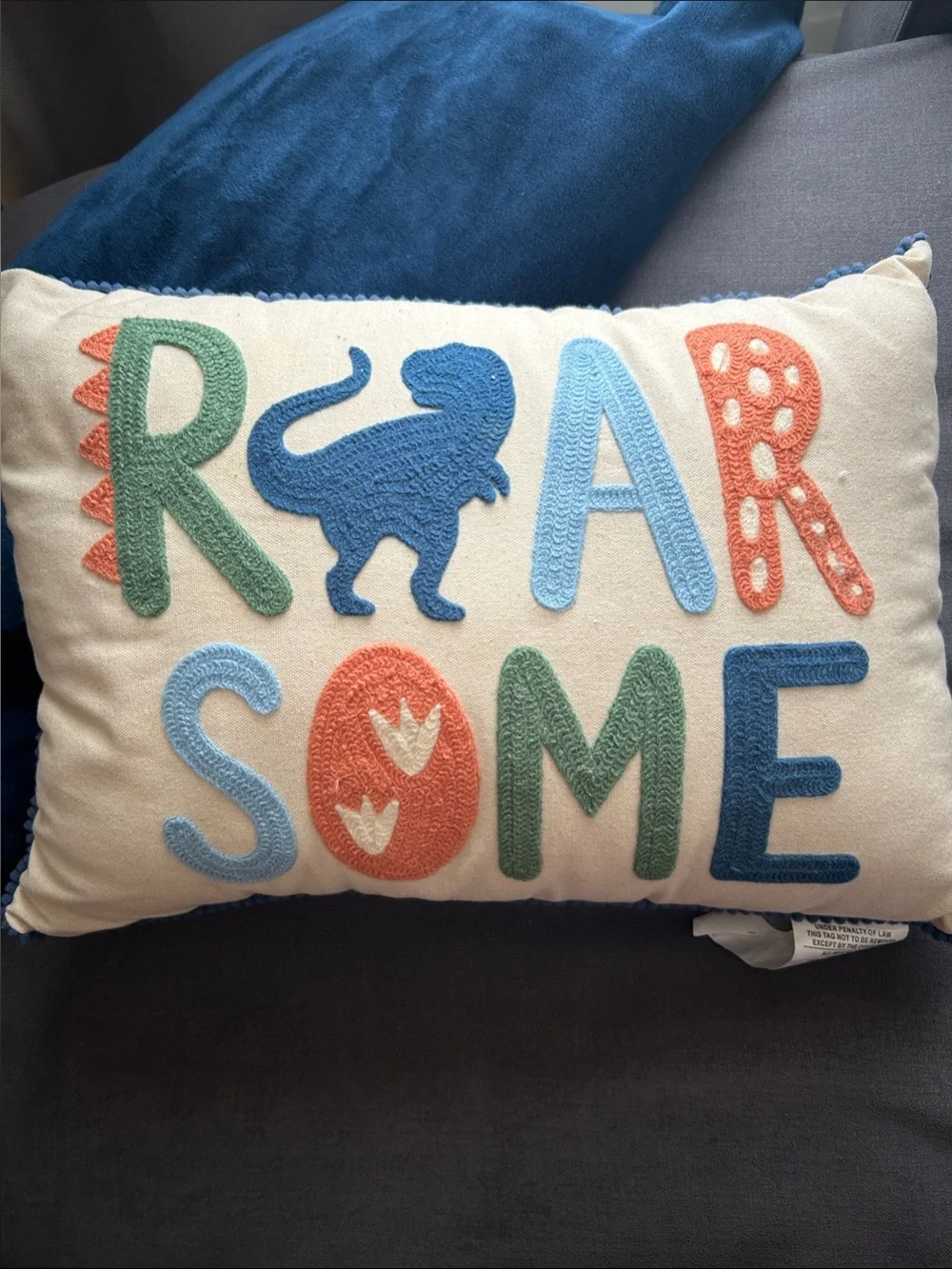 Dinosaur Accent Pillow with Multicolor Appliqué